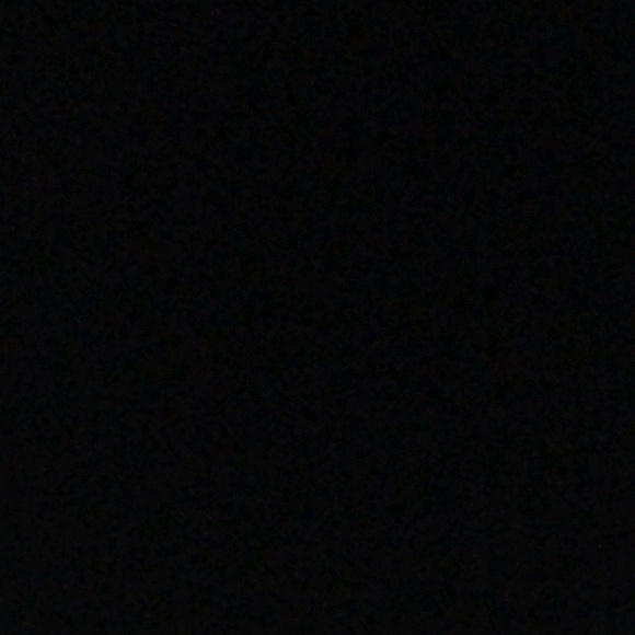 bull_bull